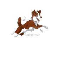 Dog Jump Sticker by Cani-gourmand
