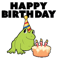 Celebrate Happy Birthday Sticker by One Fat Frog