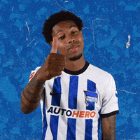 Happy Bundesliga GIF by Hertha BSC