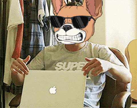 underdogscity giphyupload GIF