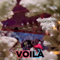 Bomba Dounia GIF