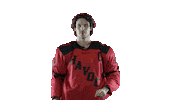 No Way Wow Sticker by Huntsville Havoc