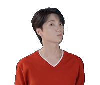 Sj Parkjungsu Sticker