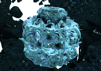 3d rock GIF by The NGB