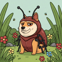 Shiba Inu Lol GIF by Doge Pound