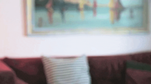philiphodges giphygifmaker GIF