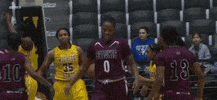siu GIF by SIUSalukis