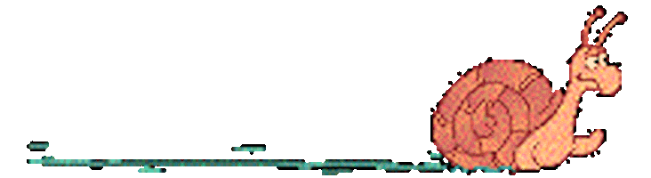 bug animations Sticker