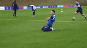 Celebrate England Football Team GIF by England