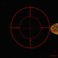 8 bit fox GIF by Animation Domination High-Def