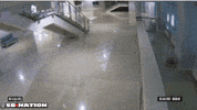 cat falling GIF by SB Nation