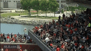 GIF by MLB