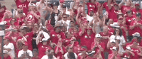 College World Series Georgia GIF by NCAA Championships