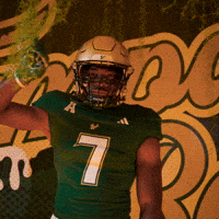 College Football GIF by USF Athletics