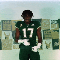 Ncaa Football GIF by USF Athletics