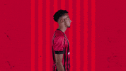Celebrating Bring It GIF by AFC Bournemouth