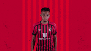 Celebrating Bring It GIF by AFC Bournemouth