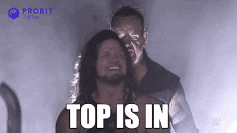 Top Crypto GIF by ProBit Global