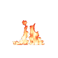 Fire Flame Sticker by Petromax