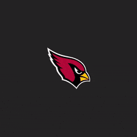 Chase Edmonds Touchdown GIF by Arizona Cardinals