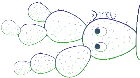 Cartoon Cactus Sticker by drintle