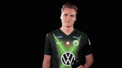 Soccer Sport GIF by VfL Wolfsburg