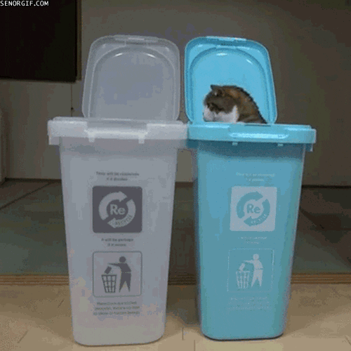 infinite cat GIF by Cheezburger