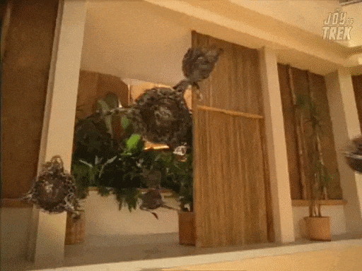 Star Trek Voyager GIF by The Joy of Trek