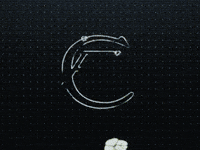 Car Driver GIF by Lotus Cars