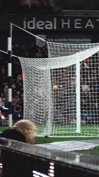 West Brom Championship GIF by West Bromwich Albion