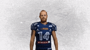 American Football GIF by Steelsharks