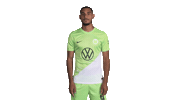 Football Sport Sticker by VfL Wolfsburg