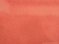 wendy gifs GIF by Wendy's 