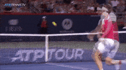 Sport Reaction GIF by Tennis TV