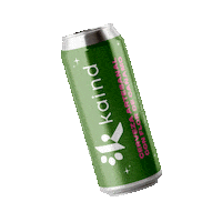 Beer Brand Sticker by KaindEc