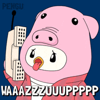 Whats Up Hello GIF by Pudgy Penguins