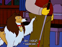 season 8 dog GIF
