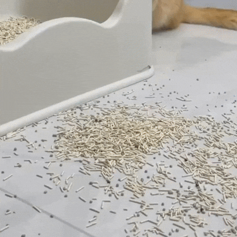 Arena Alfombra GIF by Cómpralo en Casa