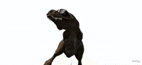 Iqfugif GIF