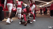 Celebrate College Football GIF by Arkansas Razorbacks