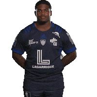 ColomiersRugby colomiersrugby Sticker