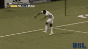 celebrate pittsburgh riverhounds sc GIF by USL