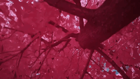 GIF by UMusicIndia