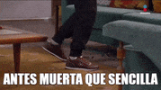 GIF by Imagen Televisión