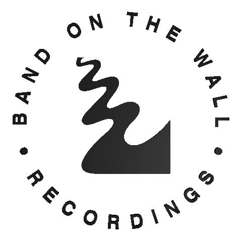 bandonthewall giphyupload Sticker