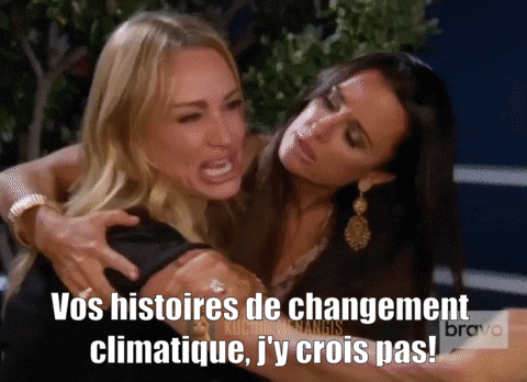 Chat Climat GIF by Ecolo
