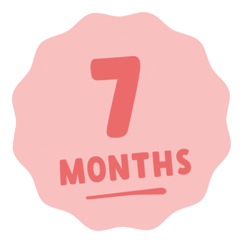 Milestones 7Months Sticker by Munchkin for iOS & Android | GIPHY