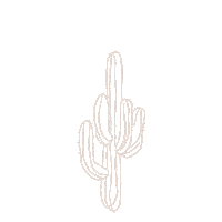 Desert Cactus Sticker by Spell & The Gypsy Collective