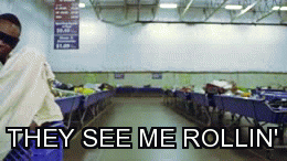 rollin GIF