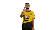 Ramy Bensebaini No Sticker by Borussia Dortmund